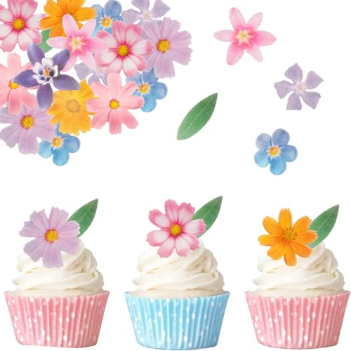 Gleevio Tortendeko Blumen Essbar Blätter Cupcake Deko,60 Stück Essbare Blumen für Torte,Essbare Blüten Tortendeko Hochzeit,Esspapier Blüten Kuchendeko Geburtstag,Blätter Deko Torte BabyParty Hawaii Gleevio Tortendeko Blumen Essbar Blätter Cupcake Deko,60 Stück Essbare Blumen für Torte,Essbare Blüten Tortendeko Hochzeit,Esspapier Blüten Kuchendeko Geburtstag,Blätter Deko Torte BabyParty Hawaii von Gleevio