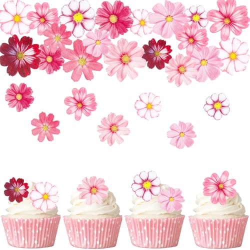 Gleevio Glücksblume Tortendeko Essbar, 65 Stück Essbare Blumen für Torte Rosa Weiß, Esspapier Blumen Kuchen Deko, Essbare Blüten Tortendeko, Glücksblume Cupcake Deko Essbar für Hochzeit, Geburtstag Gleevio Glücksblume Tortendeko Essbar, 65 Stück Essbare Blumen für Torte Rosa Weiß, Esspapier Blumen Kuchen Deko, Essbare Blüten Tortendeko, Glücksblume Cupcake Deko Essbar für Hochzeit, Geburtstag von Gleevio