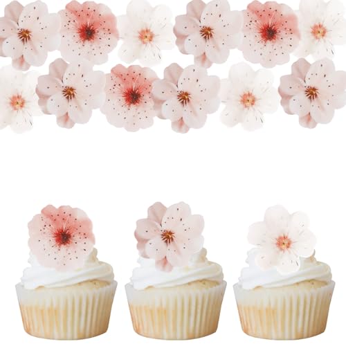 Gleevio Essbare Kirschblüten Tortendeko,48 Stück Essbare Blumen für Torte,Tortendeko Blume Essbar,Rosa 2D Blüten Kuchen Deko Essbar,Esspapier Kirschblüten Muffin Deko für Mädchen,Geburtstag,Hochzeit Gleevio Essbare Kirschblüten Tortendeko,48 Stück Essbare Blumen für Torte,Tortendeko Blume Essbar,Rosa 2D Blüten Kuchen Deko Essbar,Esspapier Kirschblüten Muffin Deko für Mädchen,Geburtstag,Hochzeit von Gleevio