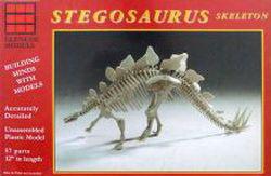 Stegosaurus Skelett Stegosaurus Skelett von Glencoe Models