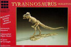 Tyrannosaurus Skelett Tyrannosaurus Skelett von Glencoe Models