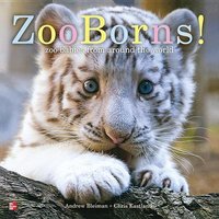 Reading Wonders Literature Big Book: Zoo Borns! Grade K von McGraw Hill LLC