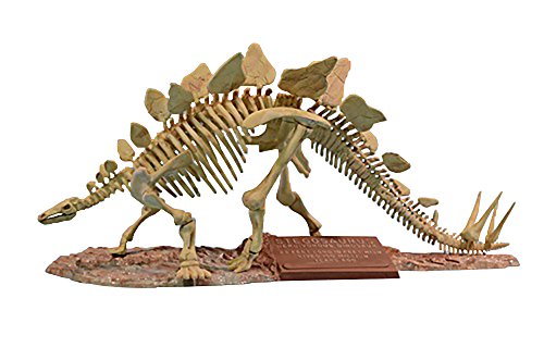 Glencoe 007907 1/25 Stegosaurus Skelett Plastikmodellbausatz Glencoe 007907 1/25 Stegosaurus Skelett Plastikmodellbausatz von Glencoe Models