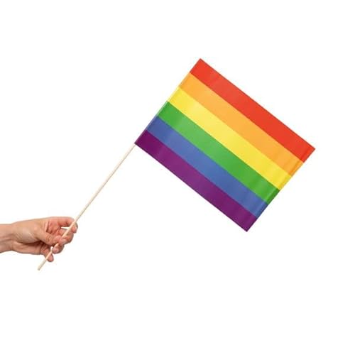 Globos 10 Papier Fahnen Regenbogen 20 x 30 cm Handfahnen Pride LGBTQ von Globos