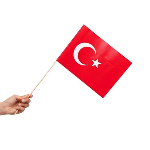 Globos 10 Papier Fahnen Türkei 20 x 30 cm Handfahnen von Globos