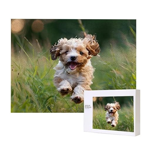 Netter Hund Puzzle 3000 Teile Puzzles Erwachsene, Helle und farbenfrohe Puzzles, Indoor-Puzzle-Kreativspiel zur Entspannung von Erwachsenen und Erziehung oder als Geschenk I-385 von Glslmznq
