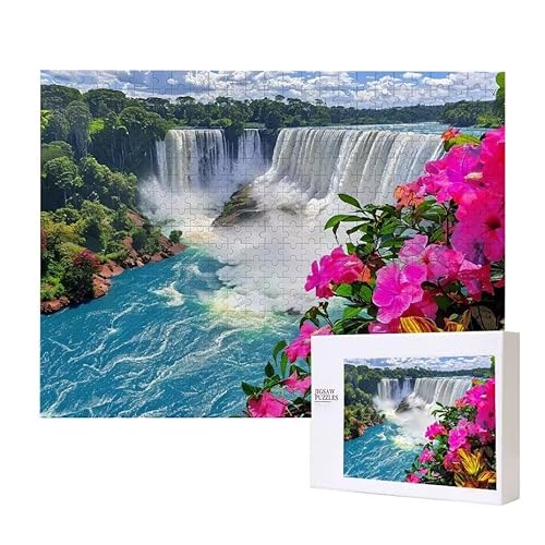 Puzzle für Erwachsene 200 Iguazu Falls Puzzle Erwachsene Pädagogisches Spiel Herausforderung Spielzeug 1000 Teile DIY-Bastel Puzzles für Heimdekoration, Geschenke von Glslmznq