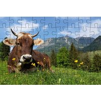 Puzzle-Postkarte Allgäu, Motiv: Kuh auf Wiese von Gmeiner Verlag