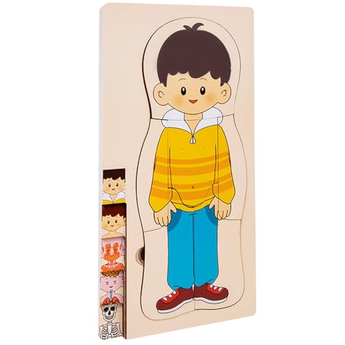 Gmokluytw Anatomie -Puzzle, menschlicher Körper für Kinder,Körperteile für Kinder - Bildung Interaktives detailliertes Spiel Set Toys for STEM Education Science Science Fair Lab Studie von Gmokluytw