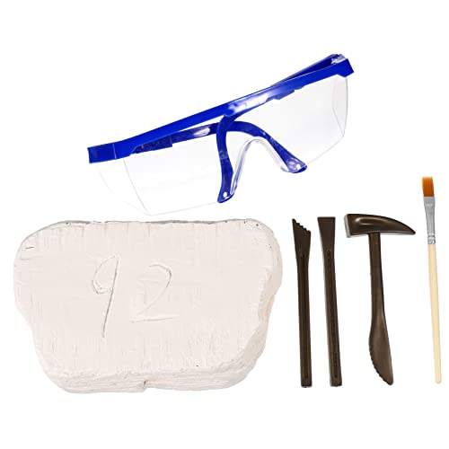 Gogogmee 1 Satz Dinosaur Excavation Interaktives Lernspielzeug für DIY Archäologie Modellspielzeug für Kreative und von Gogogmee