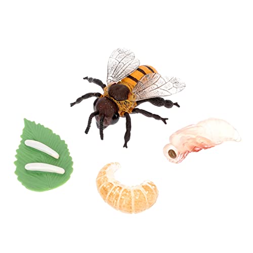 Gogogmee 1 Set Bienenwachstumsmodell Anzeigemodell Simulation Bienenmodell Mini Bienenmodell Kognitive Bienenfiguren Bienenwachstumsfigur Spielzeug Pädagogische von Gogogmee