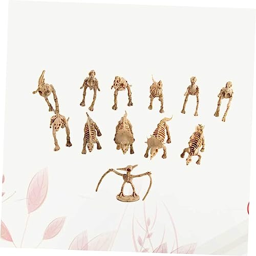 Gogogmee 12 Stück Teiliges Mini Dinosaurier Realistische Dinosaurier Skelett Modelle Pädagogisch Detailgetreu Langlebig für Sammler Partydeko und Wohnraumgestaltung von Gogogmee
