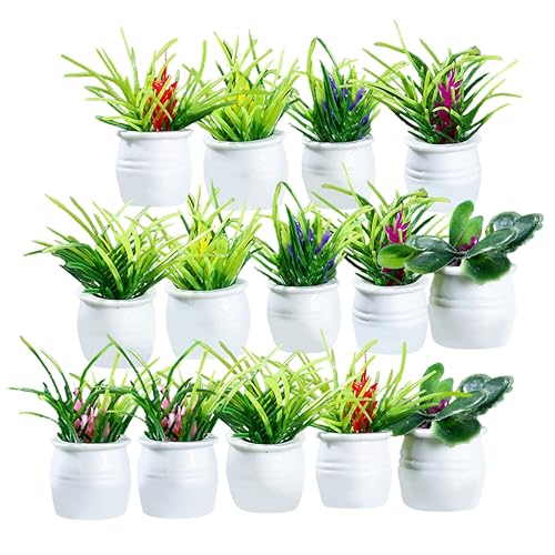 Gogogmee 14 Stück Teiliges Miniatur Bonsai Realistische Kleine Haus Dekoration Pflegefreie Mikro Landschafts Deko Vielseitige Mini Pflanzen Ornamente für Zimmer und Tisch Gogogmee 14 Stück Teiliges Miniatur Bonsai Realistische Kleine Haus Dekoration Pflegefreie Mikro Landschafts Deko Vielseitige Mini Pflanzen Ornamente für Zimmer und Tisch von Gogogmee