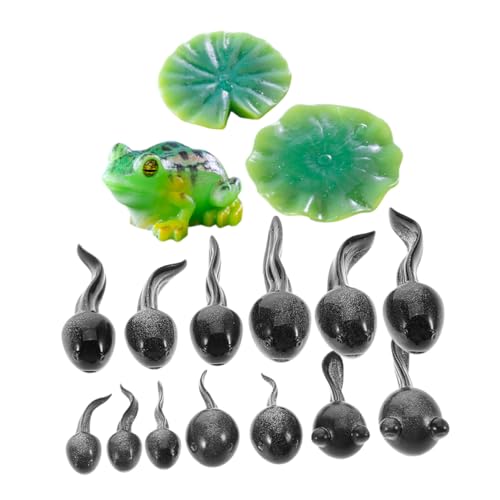 Gogogmee 16 Stück Teiliges Mini Frosch aus Robustem Resin mit Detailgetreuen Kaulquappen und Froschfiguren für DIY Terrarien Feengärten Mooslandschaften und Kreative Miniatur Dekorationen von Gogogmee