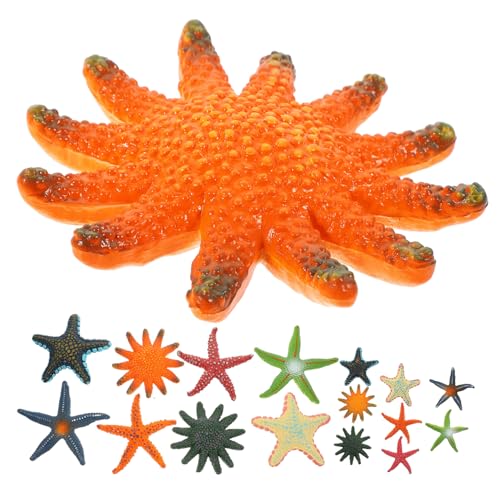 Gogogmee 16 Stück Teiliges Realistischer Sea Star Figuren aus Langlebigem Material Leichte Kompakte Meeresbewohner spielzeuge für Pool und Wasserspaß als Dekoration und Lernspielzeug von Gogogmee