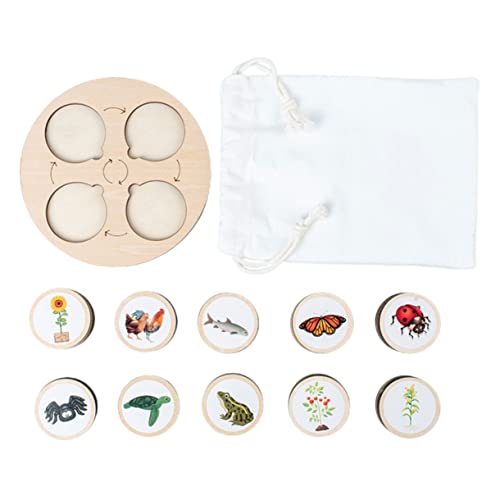 Gogogmee 1Satz Biologisches Lebenszyklus Modellspielzeug für Tiere und Pflanzen Pädagogisches Holzspielzeug Naturerziehung und Kreativen Gogogmee 1Satz Biologisches Lebenszyklus Modellspielzeug für Tiere und Pflanzen Pädagogisches Holzspielzeug Naturerziehung und Kreativen von Gogogmee