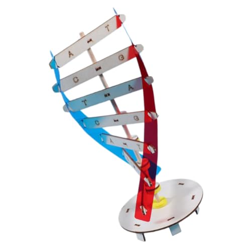 Gogogmee 1Satz DIY DNA Doppelhelix Modell aus Lernspielzeug für Biologischem Verständnis und Feinmotorik für Biologieunterricht und Kreatives Lernen Gogogmee 1Satz DIY DNA Doppelhelix Modell aus Lernspielzeug für Biologischem Verständnis und Feinmotorik für Biologieunterricht und Kreatives Lernen von Gogogmee
