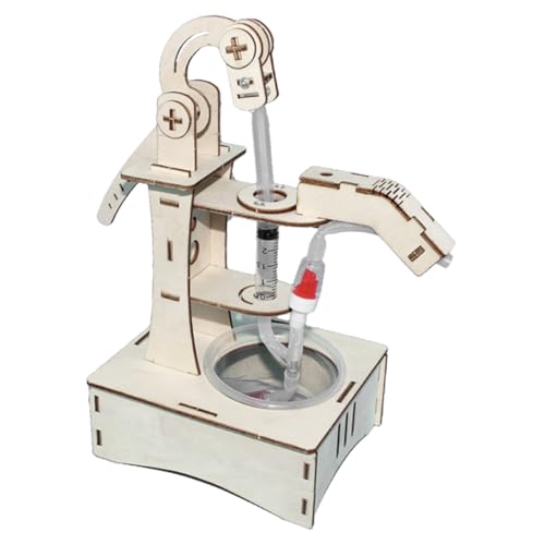 Gogogmee 1Satz DIY Wasserpumpenmodell für Experimentierset für Physik Lehrmaterial für Praktische Wissenschaftserfahrungen Fördert Kreativität und Aktives Lernen für Heimexperimente Gogogmee 1Satz DIY Wasserpumpenmodell für Experimentierset für Physik Lehrmaterial für Praktische Wissenschaftserfahrungen Fördert Kreativität und Aktives Lernen für Heimexperimente von Gogogmee