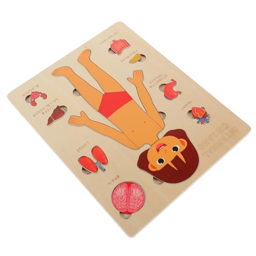Gogogmee 1Satz Körper Puzzle für Bildungsorgane Lernspielzeug Kognitiven Entwicklung für Kindergarten und Frühes Lernen Gogogmee 1Satz Körper Puzzle für Bildungsorgane Lernspielzeug Kognitiven Entwicklung für Kindergarten und Frühes Lernen von Gogogmee