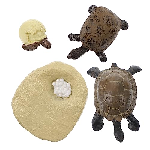 Gogogmee 1Satz Kognitives Schildkrötenmodell Realistische Tierwachstumszyklen für Pädagogisches mit Lebensechtem Design für Lernen und Dekoration Tolles für Kleine Gogogmee 1Satz Kognitives Schildkrötenmodell Realistische Tierwachstumszyklen für Pädagogisches mit Lebensechtem Design für Lernen und Dekoration Tolles für Kleine von Gogogmee