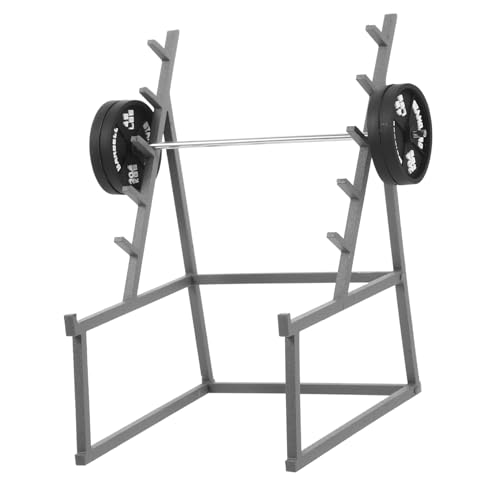 Gogogmee 1Satz Miniatur Langhantel Modellset für Puppenhaus Exquisites Sportgerät für DIY Miniatur Landschaften Perfektes Fitness Accessoire zur Dekoration von Dollhouses und Szenen von Gogogmee