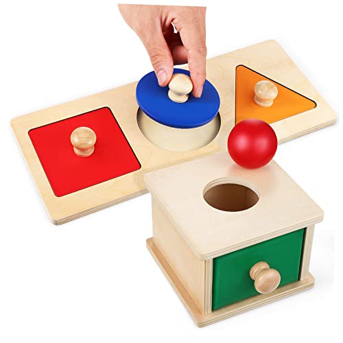 Gogogmee 1Satz Montessori Wurfkastenspielzeug für Objektbeständigkeit Holzspielzeug mit Bunten Geometrischen Formen Motorikspielzeug Ab Jahr Verbesserte Feinmotorik und Einfache von Gogogmee