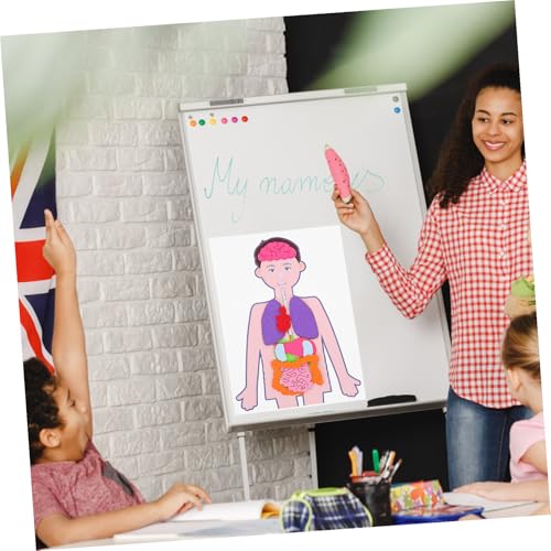 Gogogmee 2 Sätze DIY Lernspielzeug Menschlicher Körper Torso Modell Pädagogisches Organe Bastelset für Kreativität Kognition Form Farbe von Gogogmee