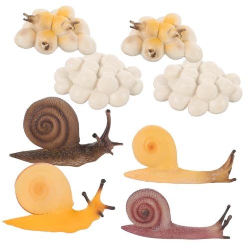 Gogogmee 2 Sätze Kreatives Schneckenwachstumsmodell Biologisches Lernspielzeug Leichtes Kunststoffmaterial Pädagogisches Kinderspielzeug zur Naturwissenschaftlichen Frühförderung Fördert von Gogogmee