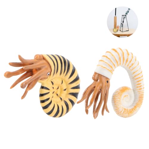 Gogogmee 2 Stück Meerestiere Modell Teilig Kunststoff Schnecken Figuren Realistisch Langlebig und Dekoration für Aquarium von Gogogmee