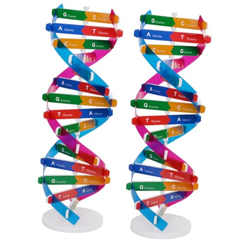 Gogogmee 2Stücke DNA Modell Interaktives Lernspielzeug für Wissenschaftliches DNA Doppelhelix Modell Pädagogisches Werkzeug zum Bauen und Lernen über Gene und Moleküle Gogogmee 2Stücke DNA Modell Interaktives Lernspielzeug für Wissenschaftliches DNA Doppelhelix Modell Pädagogisches Werkzeug zum Bauen und Lernen über Gene und Moleküle von Gogogmee