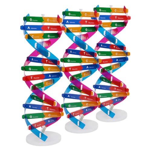 Gogogmee 3 Stück DIY DNA Modellset Teiliges Doppelhelix Modellkit für Biologieunterricht Wissenschaftliches Lernspielzeug Kreativität Schülern von Gogogmee