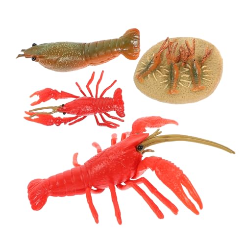 Gogogmee 4 Stück Teiliges Kunststoff Lobster Modellset Realistische Nachbildung des Hummer Wachstumszyklus Pädagogisches Tier Lernspielzeug für Beobachtung und Kognitiven Entwicklung Gogogmee 4 Stück Teiliges Kunststoff Lobster Modellset Realistische Nachbildung des Hummer Wachstumszyklus Pädagogisches Tier Lernspielzeug für Beobachtung und Kognitiven Entwicklung von Gogogmee