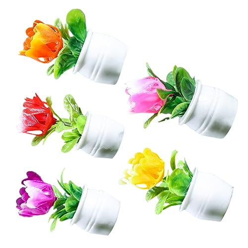 Gogogmee 5Stücke Blumentöpfe für Puppenhäuser Realistische Bonsai Dekorationen Zubehör für Kleine Miniaturen und Kreative Wohnräume Gogogmee 5Stücke Blumentöpfe für Puppenhäuser Realistische Bonsai Dekorationen Zubehör für Kleine Miniaturen und Kreative Wohnräume von Gogogmee
