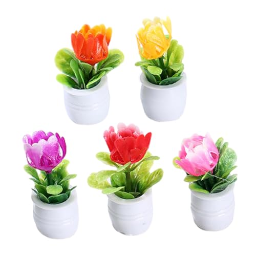 Gogogmee 5Stücke Teiliges Künstliche Bonsai Pflanzen Miniaturmodell aus Harz für Puppenhaus Dekoration Realistische Simulation für Mini Häuser und Fotorequisiten Kleine Topfblumen Gogogmee 5Stücke Teiliges Künstliche Bonsai Pflanzen Miniaturmodell aus Harz für Puppenhaus Dekoration Realistische Simulation für Mini Häuser und Fotorequisiten Kleine Topfblumen von Gogogmee