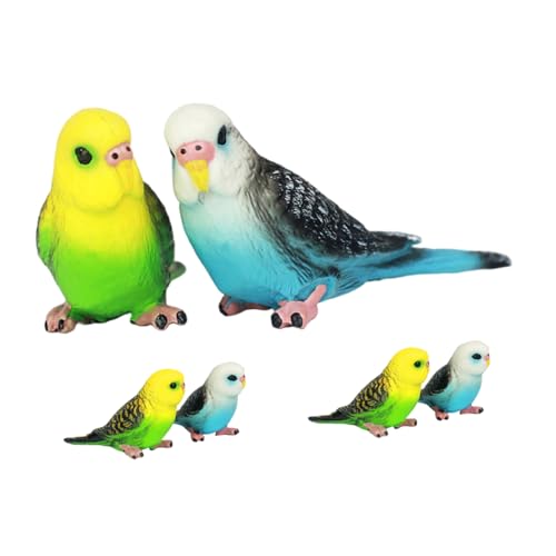 Gogogmee 6 Stück Teiliges Realistische Papageienmodelle aus Kunststoff Detailgetreue Kleine Vogel Figuren für Sichere Tragbare Nachbildung als Garten und Kuchendekoration von Gogogmee