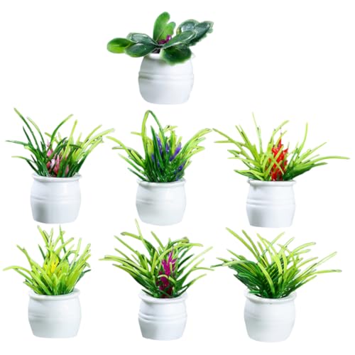 Gogogmee 7Stücke Teiliges Pflanzenmodell Realistische Topfpflanzen für Puppenhaus Dekoration DIY Bonsai Winzige Gartenornamente für Miniaturszenen und Feengärten Gogogmee 7Stücke Teiliges Pflanzenmodell Realistische Topfpflanzen für Puppenhaus Dekoration DIY Bonsai Winzige Gartenornamente für Miniaturszenen und Feengärten von Gogogmee