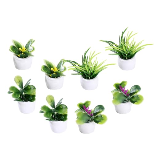 Gogogmee 8 Stück Teiliges Miniatur Bonsai Pflanzen Lebensechte Mini Topfpflanzen für Puppenhaus Deko Farbenfrohe Simulation Leichte Miniatur Pflanzenmodelle zur Realistischen Gogogmee 8 Stück Teiliges Miniatur Bonsai Pflanzen Lebensechte Mini Topfpflanzen für Puppenhaus Deko Farbenfrohe Simulation Leichte Miniatur Pflanzenmodelle zur Realistischen von Gogogmee
