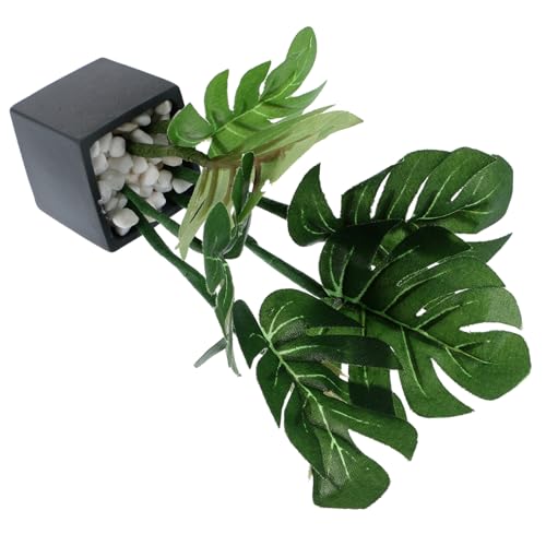 Gogogmee Bonsai Dekoration für Puppenhäuser Realistisches Pflanzenmodell mit Feiner Verarbeitung für Mini und Kreative Wohnaccessoires Gogogmee Bonsai Dekoration für Puppenhäuser Realistisches Pflanzenmodell mit Feiner Verarbeitung für Mini und Kreative Wohnaccessoires von Gogogmee