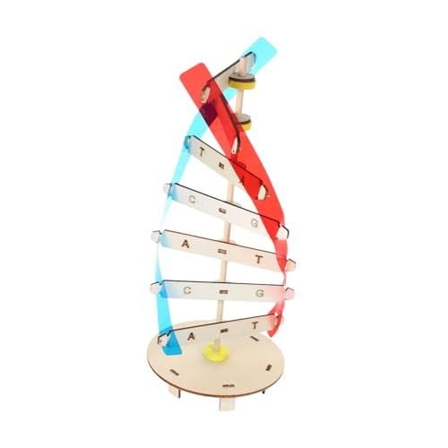 Gogogmee DNA Modell Bausatz Doppelhelix DIY Wissenschaftliches Lernspielzeug für Ab Jahren Fördert Feinmotorik Hand Auge Koordination und Genetikverständnis im Schulunterricht von Gogogmee