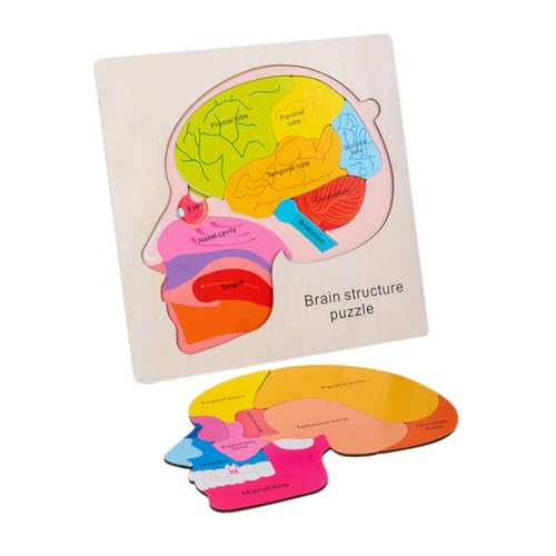Gogogmee Holzpuzzle Gehirnstruktur für Mehrschichtiges Montessori Lernspielzeug zur Kognitiven Interaktives Pädagogisches Holzspiel für Kleinkinder Logisches und Feinmotorik Training von Gogogmee