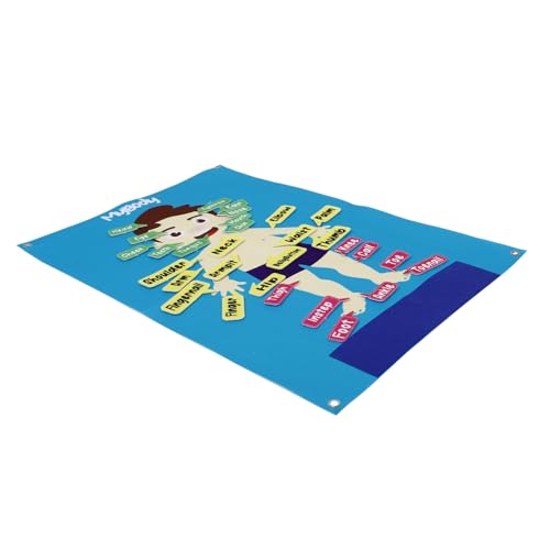 Gogogmee Interaktives Großes Filzboard Menschlicher Körper Lernspielzeug mit Abnehmbaren Teilen für Kleinkinder Vorschulaktivität zur Kognitiven Entwicklung und Kreativen Erzählförderung Gogogmee Interaktives Großes Filzboard Menschlicher Körper Lernspielzeug mit Abnehmbaren Teilen für Kleinkinder Vorschulaktivität zur Kognitiven Entwicklung und Kreativen Erzählförderung von Gogogmee