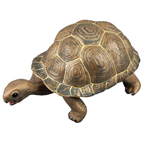 Gogogmee Kunststoff Schildkröten Modell Realistische Figur für Schulprojekte und Garten Dekoration aus Hochwertigem Farbenfroh und Lehrreich für Kreative von Gogogmee