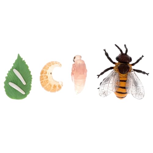 Gogogmee Lernspielzeug Bienen Lebenszyklus Modell Realistische Insekten Figur mit Wachstumszyklus Pädagogisch Leicht Tragbar für Schule und Zuhause von Gogogmee