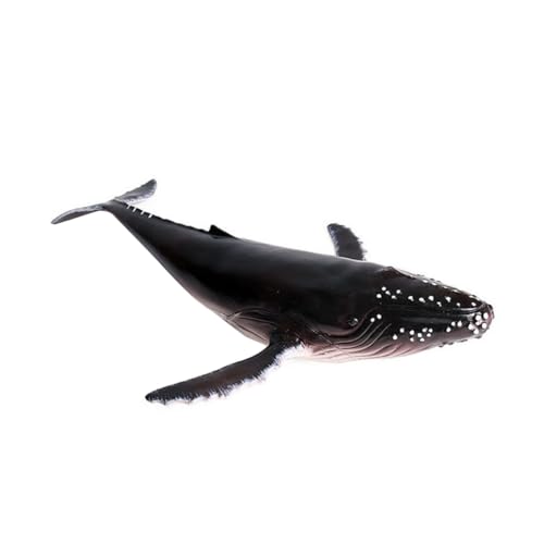 Gogogmee Lifelike Buckelwal Modell aus Premium Kunststoff Realistische Meerestiere Figur Dekoratives Aquarium Geschenk für Sammelfigur für Zuhause und Büro von Gogogmee