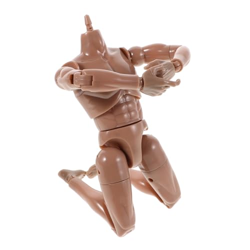 Gogogmee Maßstab Modell mit Beweglichen Gelenken Abnehmbares Skelett Flexible Pose Action Figur für Künstler Zeichnen Sammeln Detailgetreues Realistisches Sammlerstück von Gogogmee