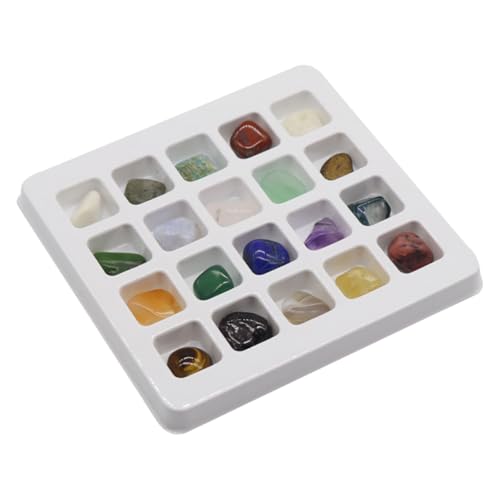 Gogogmee Natürliche Kristall und Mineralstein Sammlung für Lehrreiche Steinsammlung mit Echten Mineralien Lernspielzeug für Junge und Bastelmaterial Gogogmee Natürliche Kristall und Mineralstein Sammlung für Lehrreiche Steinsammlung mit Echten Mineralien Lernspielzeug für Junge und Bastelmaterial von Gogogmee