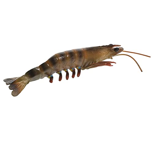 Gogogmee Pädagogisches Garnelenspielzeug aus Kunststoff Realistisches Simulationsmodell für Aquarien und Kreatives für Fördert Lernen und Fantasie Geschenkidee für Kleine Gogogmee Pädagogisches Garnelenspielzeug aus Kunststoff Realistisches Simulationsmodell für Aquarien und Kreatives für Fördert Lernen und Fantasie Geschenkidee für Kleine von Gogogmee