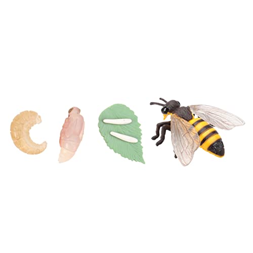 Gogogmee Realistisches Bienenwachstumsmodell aus Langlebigem Detailgetreues Tier Display für Pädagogisches Insekten dekor Kreatives Lernspielzeug für Junge Mädchen und Partys Gogogmee Realistisches Bienenwachstumsmodell aus Langlebigem Detailgetreues Tier Display für Pädagogisches Insekten dekor Kreatives Lernspielzeug für Junge Mädchen und Partys von Gogogmee