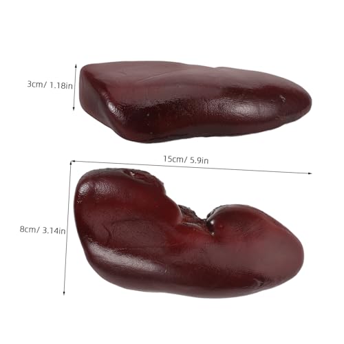 Gogogmee Realistisches Gefälschtes Nierendekor Halloween Falschwitze Gefälschte Nierenrequisite Schreckliche Nierenzaubererrequisite Schreckliches Falsches von Gogogmee