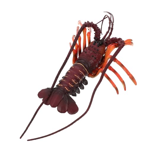 Gogogmee Realistisches Hummer Modell aus Stabilem Kunststoff Naturgetreue Meeresbewohner Dekoration und Pädagogisch für Kindergeburtstag und Naturwissenschaftliche Bildung Gogogmee Realistisches Hummer Modell aus Stabilem Kunststoff Naturgetreue Meeresbewohner Dekoration und Pädagogisch für Kindergeburtstag und Naturwissenschaftliche Bildung von Gogogmee